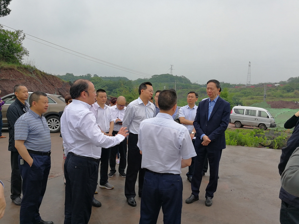 副省長王一宏視察公司在建項目——四川衛(wèi)生康復職業(yè)學院